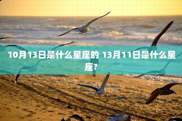 10月13日是什么星座的 13月11日是什么星座?