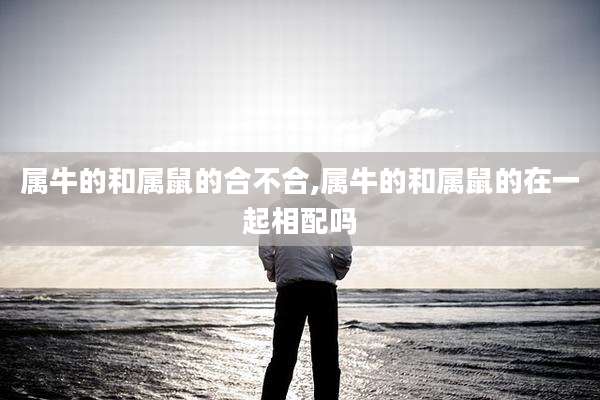 属牛的和属鼠的合不合,属牛的和属鼠的在一起相配吗
