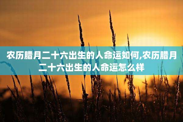 农历腊月二十六出生的人命运如何,农历腊月二十六出生的人命运怎么样