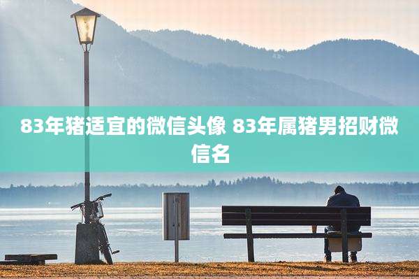 83年猪适宜的微信头像 83年属猪男招财微信名