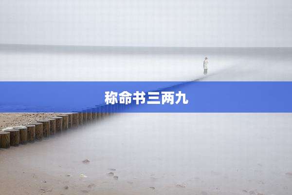 称命书三两九