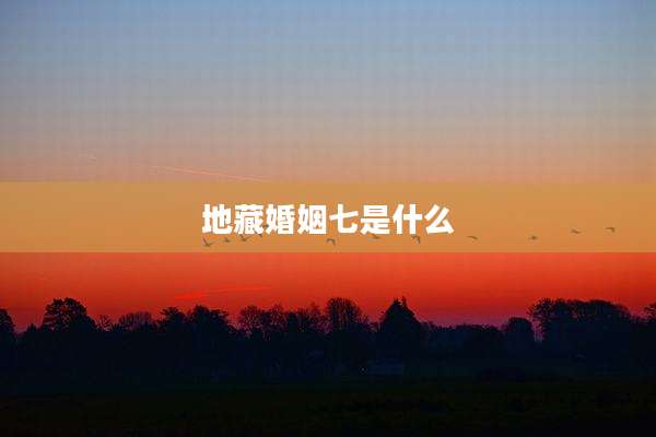 地藏婚姻七是什么