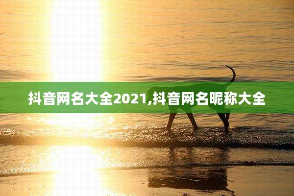 抖音网名大全2021,抖音网名昵称大全