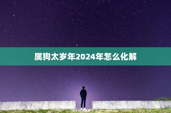属狗太岁年2024年怎么化解