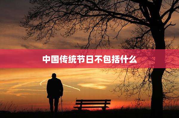 中国传统节日不包括什么