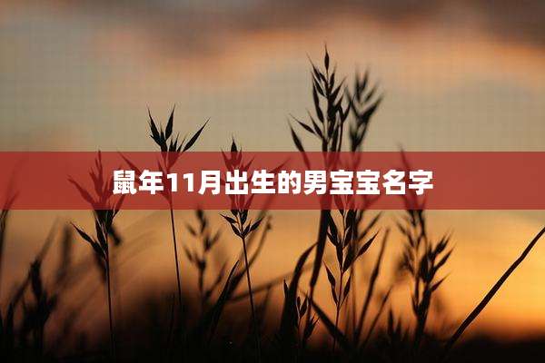 鼠年11月出生的男宝宝名字