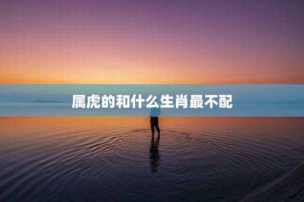 属虎的和什么生肖最不配