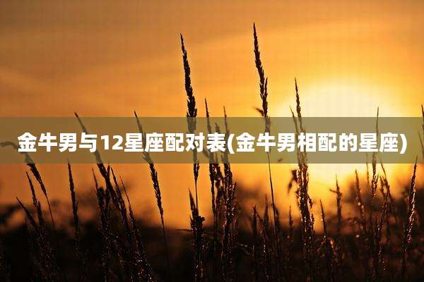金牛男与12星座配对表(金牛男相配的星座)