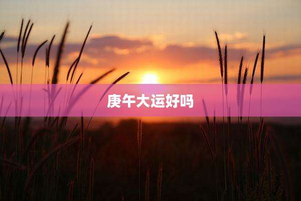 庚午大运好吗