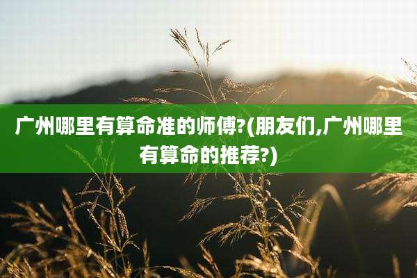 广州哪里有算命准的师傅?(朋友们,广州哪里有算命的推荐?)