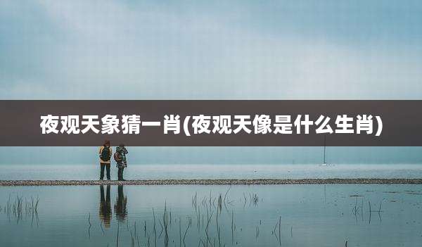 夜观天象猜一肖(夜观天像是什么生肖)