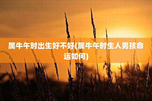 属牛午时出生好不好(属牛午时生人男孩命运如何)