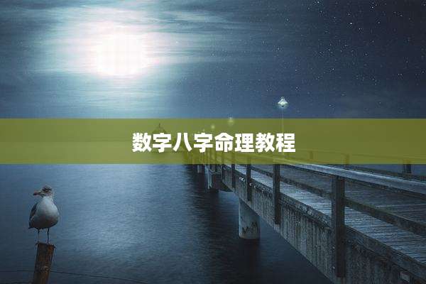 数字八字命理教程