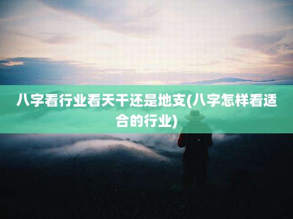 八字看行业看天干还是地支(八字怎样看适合的行业)