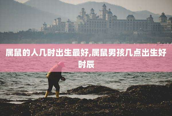 属鼠的人几时出生最好,属鼠男孩几点出生好时辰