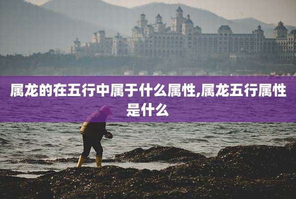 属龙的在五行中属于什么属性,属龙五行属性是什么