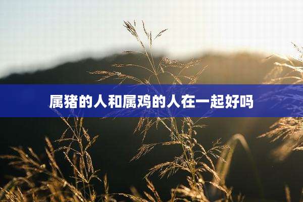 属猪的人和属鸡的人在一起好吗