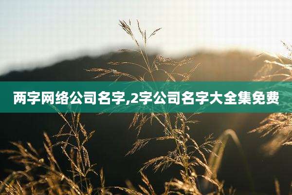 两字网络公司名字,2字公司名字大全集免费