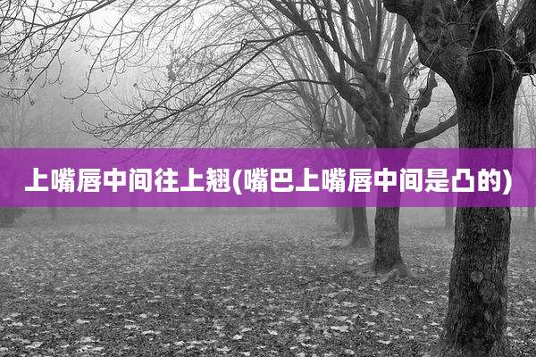 上嘴唇中间往上翘(嘴巴上嘴唇中间是凸的)