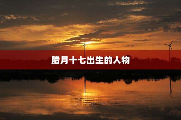 腊月十七出生的人物