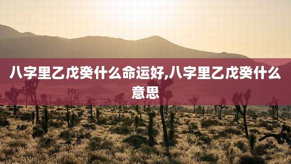 八字里乙戊癸什么命运好,八字里乙戊癸什么意思
