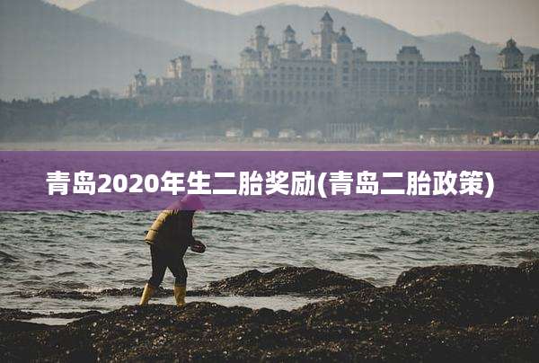 青岛2020年生二胎奖励(青岛二胎政策)