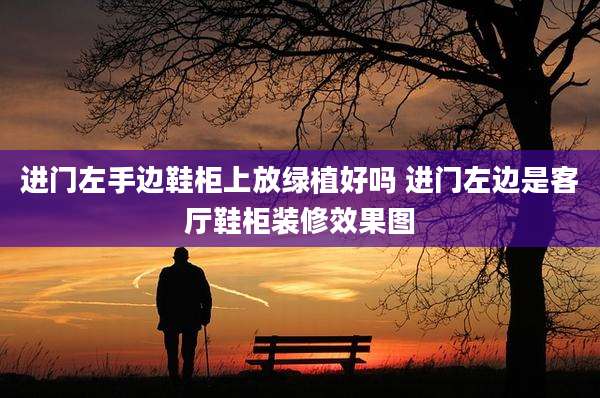 进门左手边鞋柜上放绿植好吗 进门左边是客厅鞋柜装修效果图