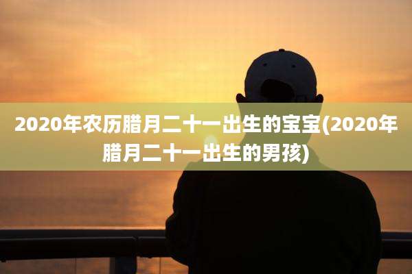 2020年农历腊月二十一出生的宝宝(2020年腊月二十一出生的男孩)