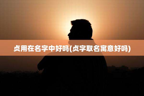贞用在名字中好吗(贞字取名寓意好吗)