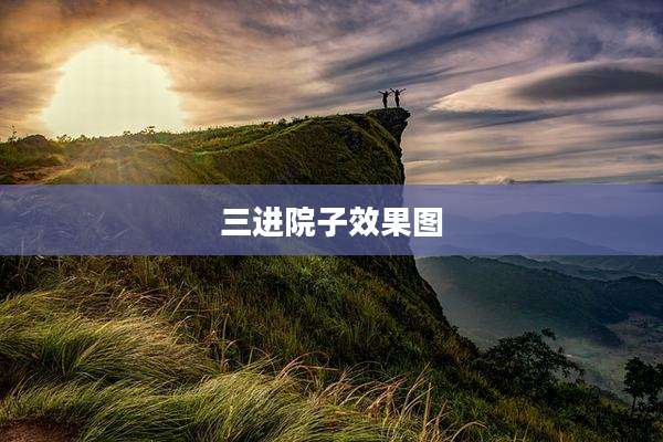 三进院子效果图