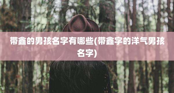 带鑫的男孩名字有哪些(带鑫字的洋气男孩名字)