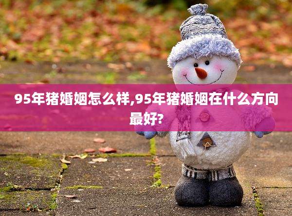 95年猪婚姻怎么样,95年猪婚姻在什么方向最好?