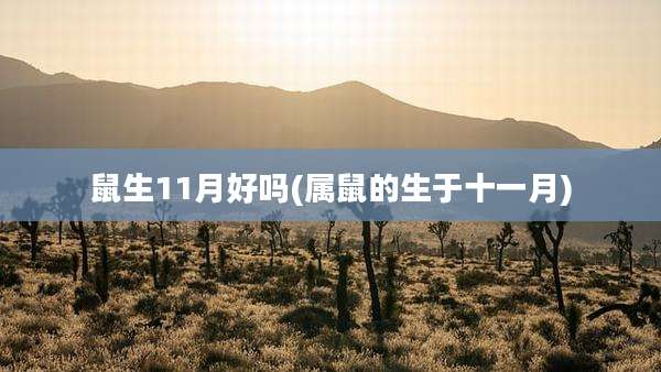 鼠生11月好吗(属鼠的生于十一月)