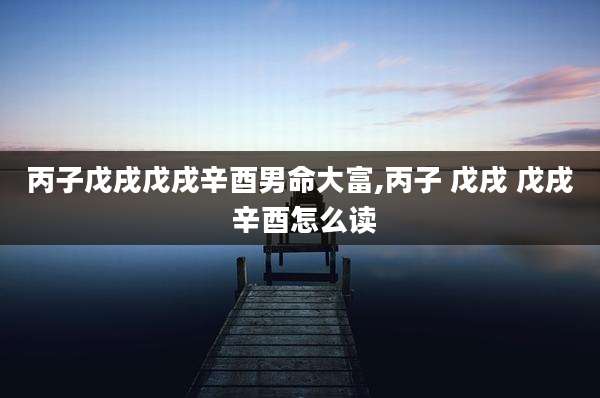 丙子戊戌戊戌辛酉男命大富,丙子 戊戌 戊戌 辛酉怎么读
