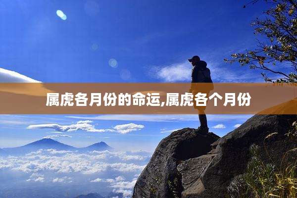 属虎各月份的命运,属虎各个月份