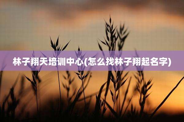 林子翔天培训中心(怎么找林子翔起名字)