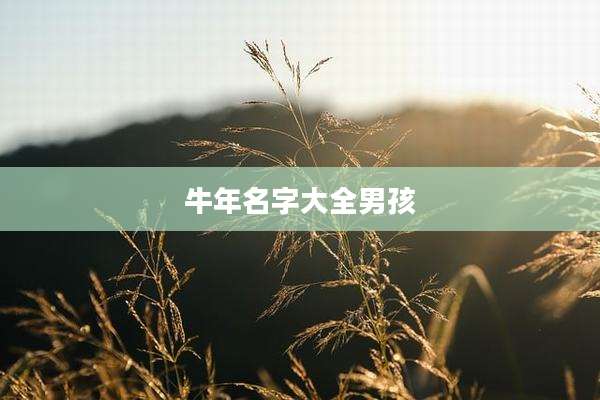 牛年名字大全男孩