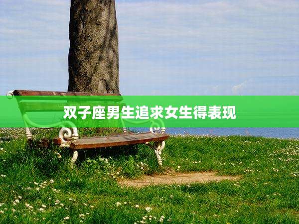 双子座男生追求女生得表现