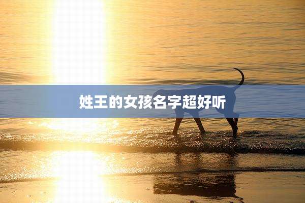 姓王的女孩名字超好听