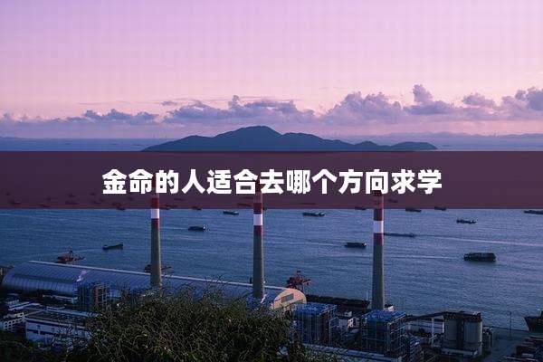 金命的人适合去哪个方向求学