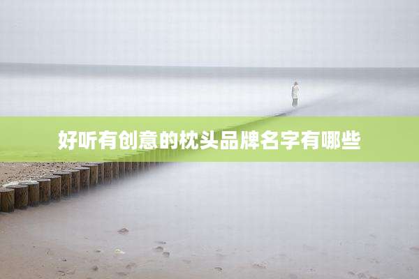 好听有创意的枕头品牌名字有哪些