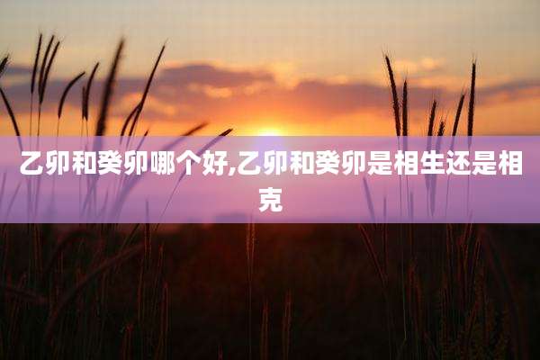 乙卯和癸卯哪个好,乙卯和癸卯是相生还是相克