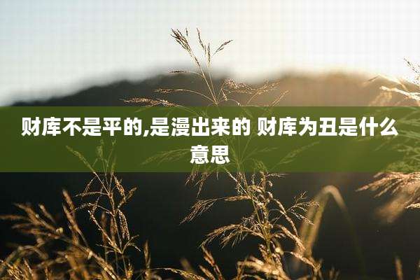 财库不是平的,是漫出来的 财库为丑是什么意思