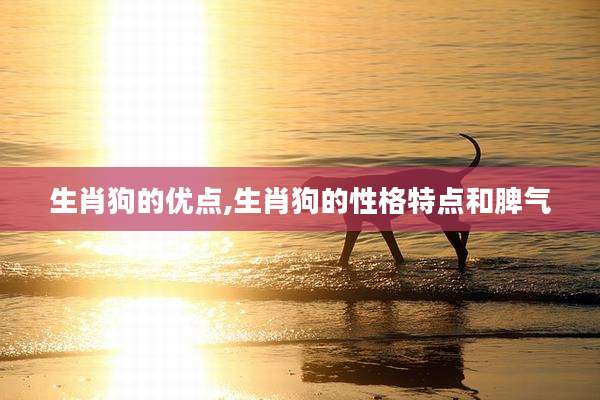 生肖狗的优点,生肖狗的性格特点和脾气
