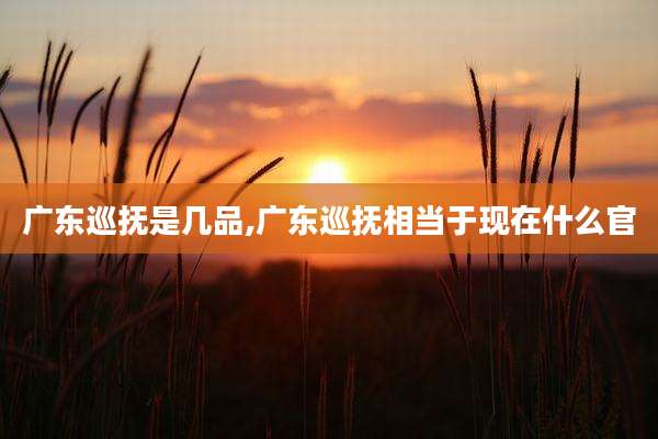 广东巡抚是几品,广东巡抚相当于现在什么官