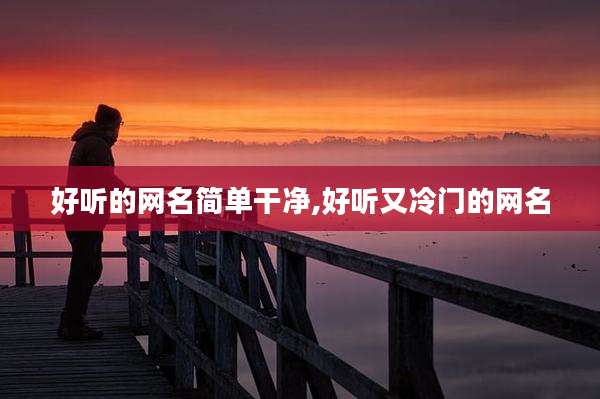 好听的网名简单干净,好听又冷门的网名