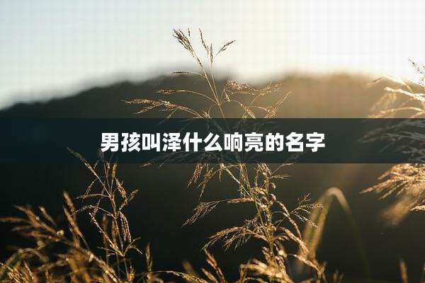 男孩叫泽什么响亮的名字