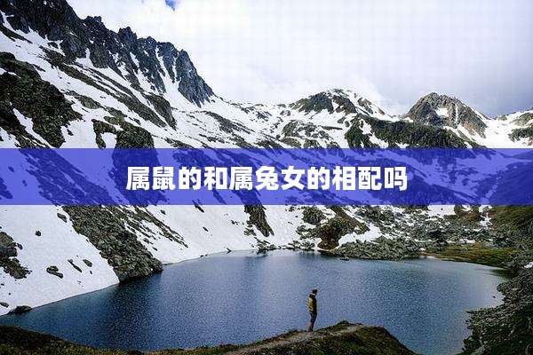属鼠的和属兔女的相配吗