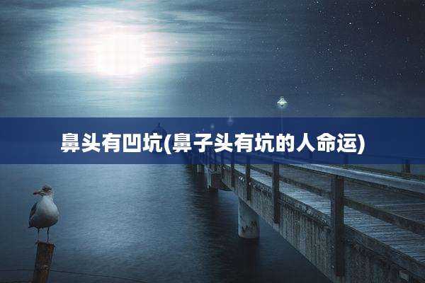 鼻头有凹坑(鼻子头有坑的人命运)