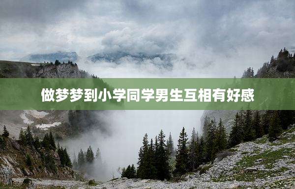 做梦梦到小学同学男生互相有好感